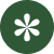 Flower-2.png